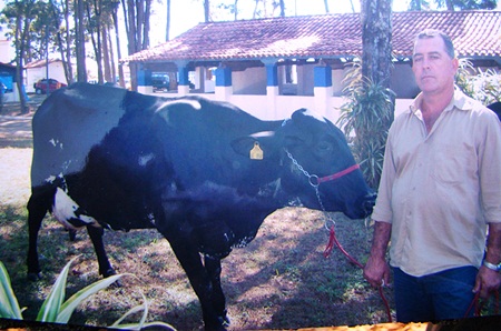 VACA DE CRIADOR RIFAINENSE É BICAMPEÃ NA EXPOCARMO 2010